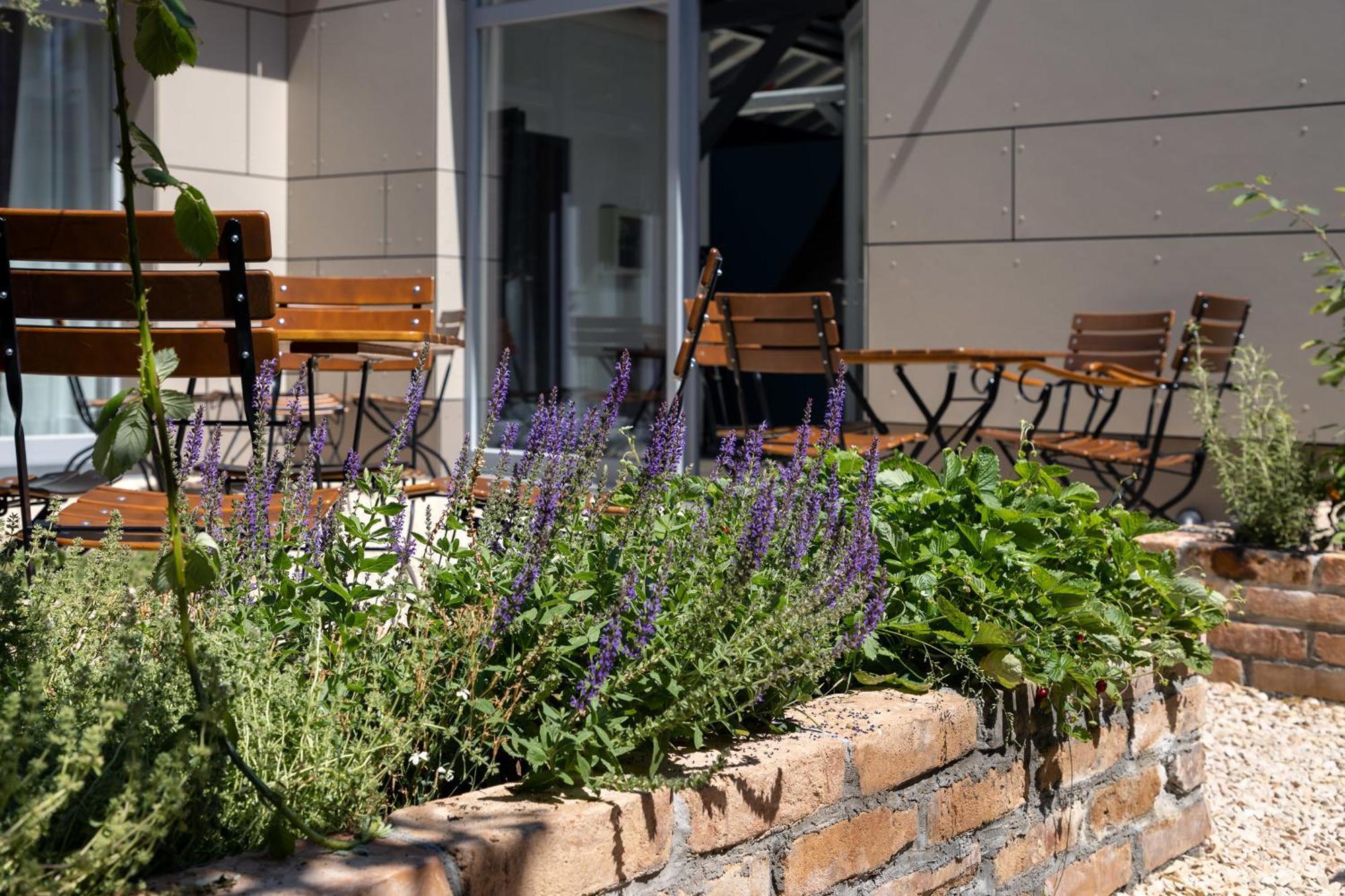Standard-Apartment 1880 Walsheim Exterior photo
